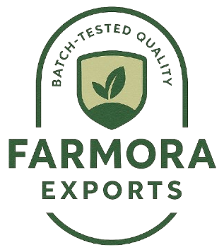 logo removebg preview