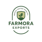 logo removebg preview