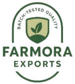 logo removebg preview